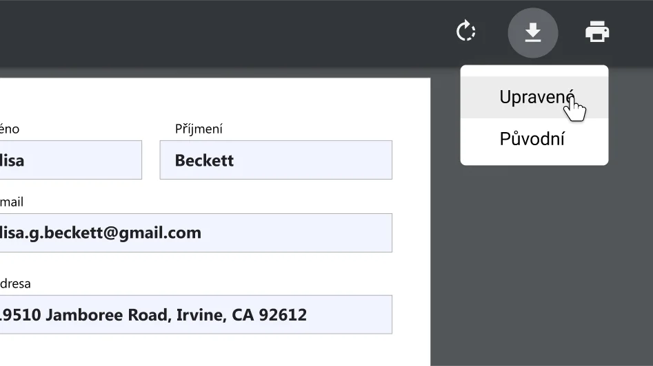 Okno prohlížeče Chrome s otevřeným dokumentem PDF a přiblíženou nabídkou stažení a možností tisku.