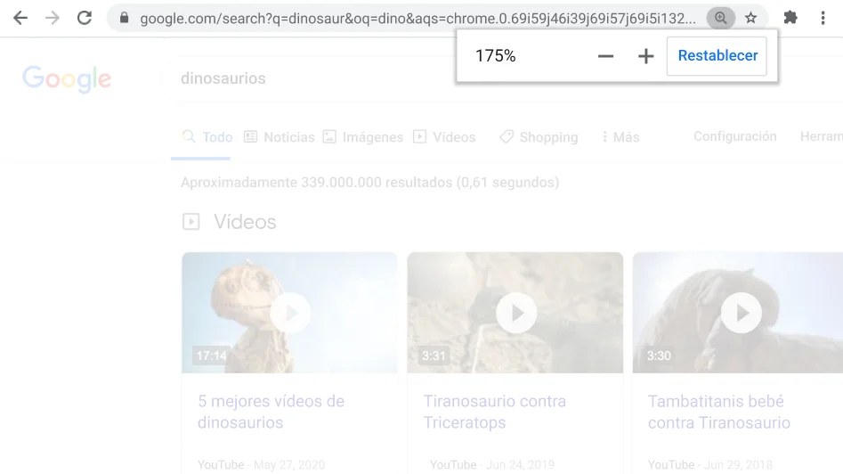 Ventana del navegador Chrome abierta en una página web con la función Zoom activa.