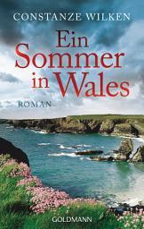 Icon image Ein Sommer in Wales: Roman